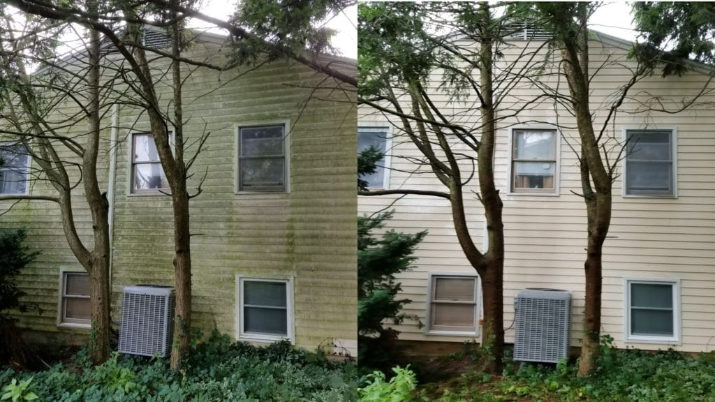 Pressure Washing Service Near Me Selden Ny